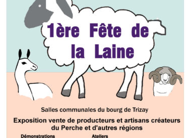 181103_FeteDeLaLaine_Affiche