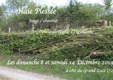 20191208_ChantierPlessage_Escampe_vignette