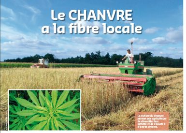 Article chanvre