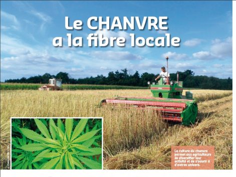 Article chanvre