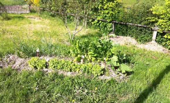 Plantation jardin permaculture