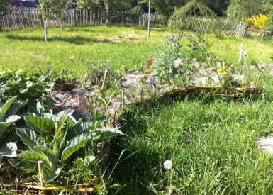 Plantation jardin permaculture