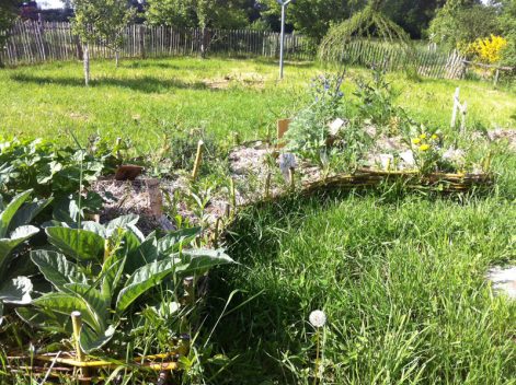 Plantation jardin permaculture