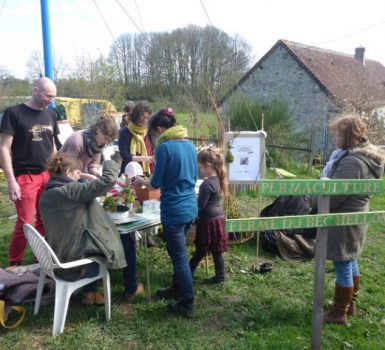 Eco-habitat en fête