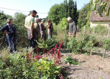 Visite permaculture