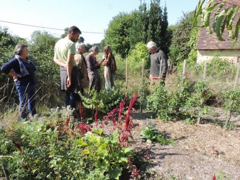 Visite permaculture