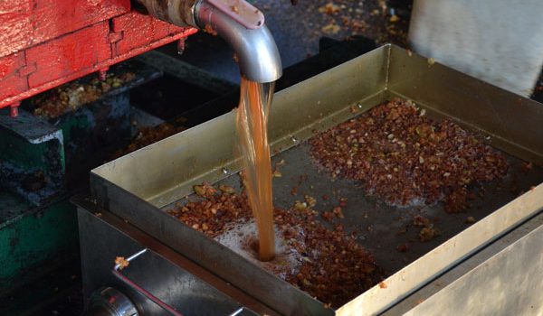 Pressage du jus de pomme Eco-Pertica à la Reinette verte