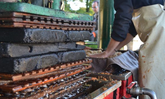 Pressage du jus de pomme Eco-Pertica à la Reinette verte