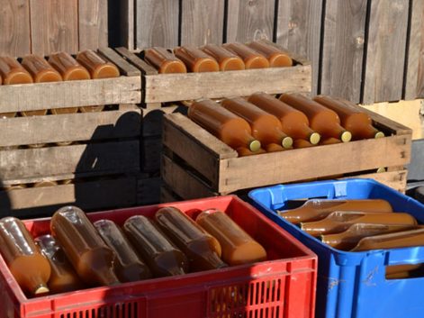 Pressage du jus de pomme Eco-Pertica à la Reinette verte