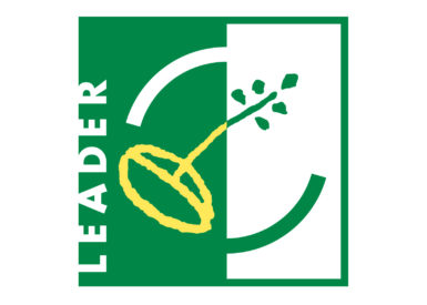 Leader