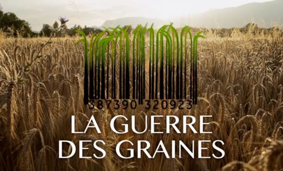 guerre-des-graines